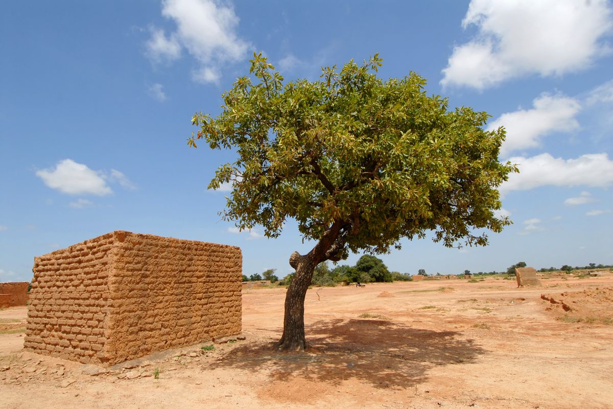Ouagadougou image