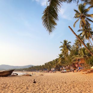 Goa image