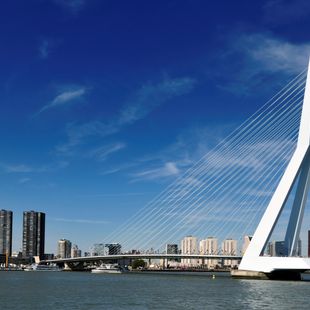Rotterdam image